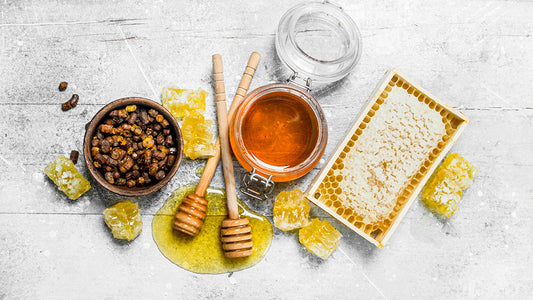 The Keeper's Hive Beginner Beehive Bee Products Propolis Honey Comb Honey beeswax royal jelly