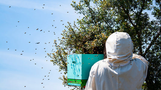The Keeper's Hive Demaree Method For Swarm Control Prevent Swarming Honey Production Benefits Beginner Backyard Beekeeping Beehive