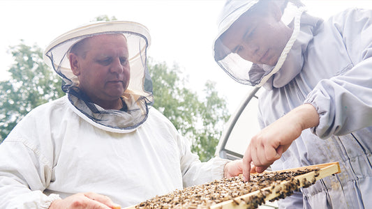 Beekeeping Hive Records The Keeper's Hive Beehive Notes Field Testing Mite Count Brood Inspection