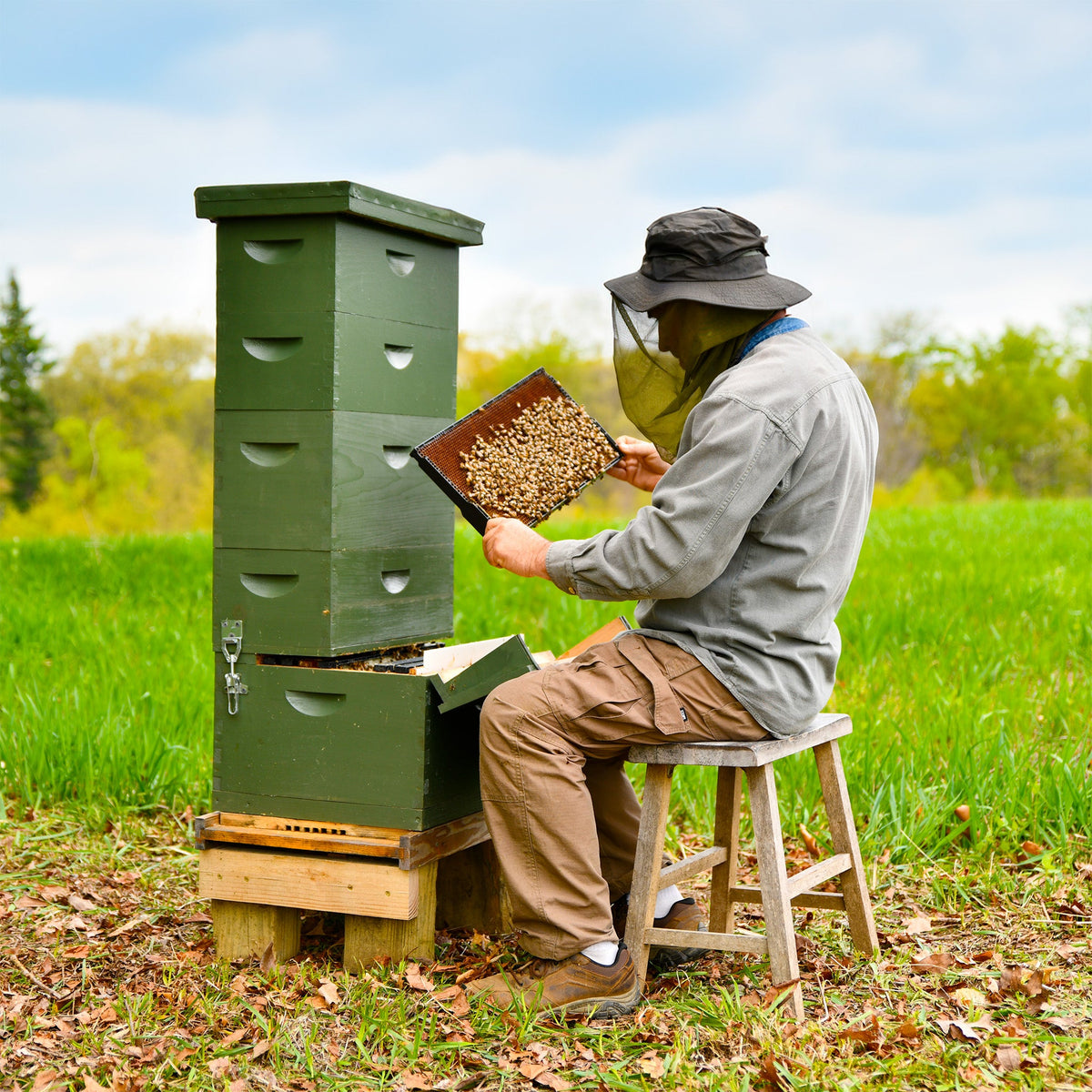 Collections – The Keeper's Hive