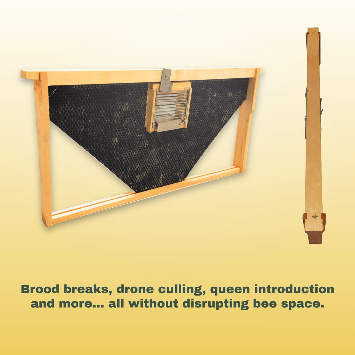 IPM Frame with Royal Chamber