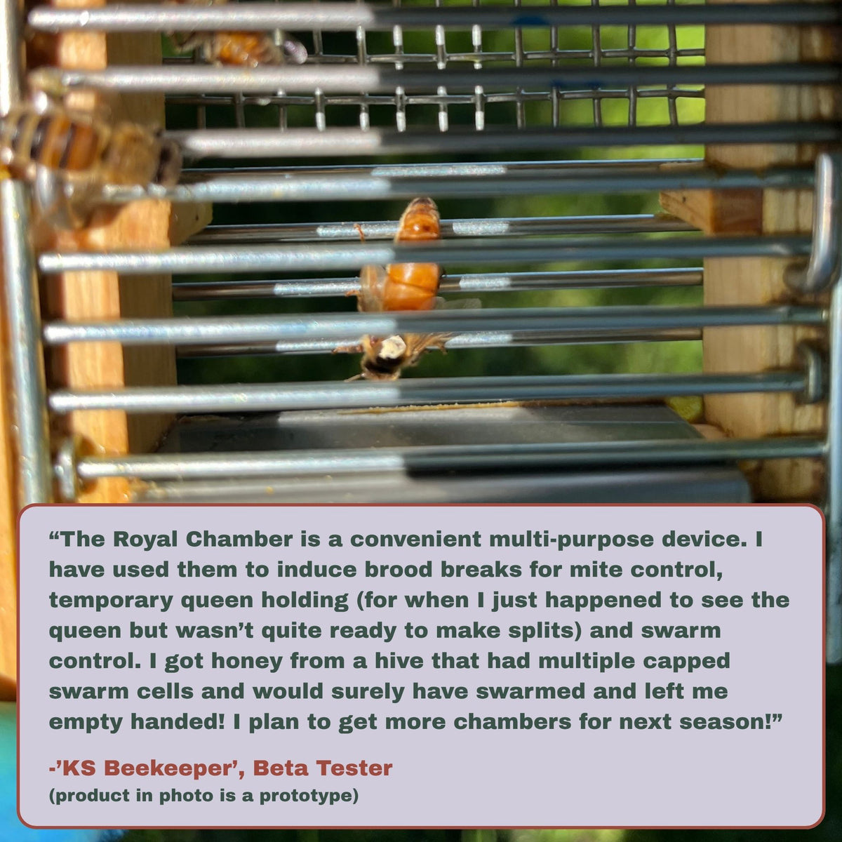 IPM Frame with Royal Chamber