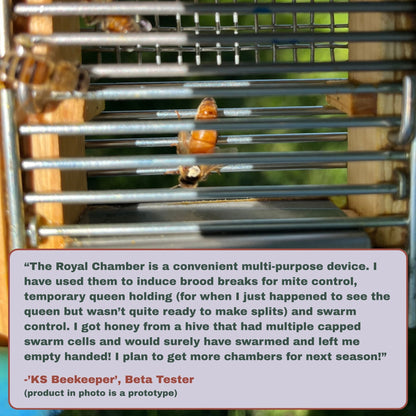 IPM Frame with Royal Chamber