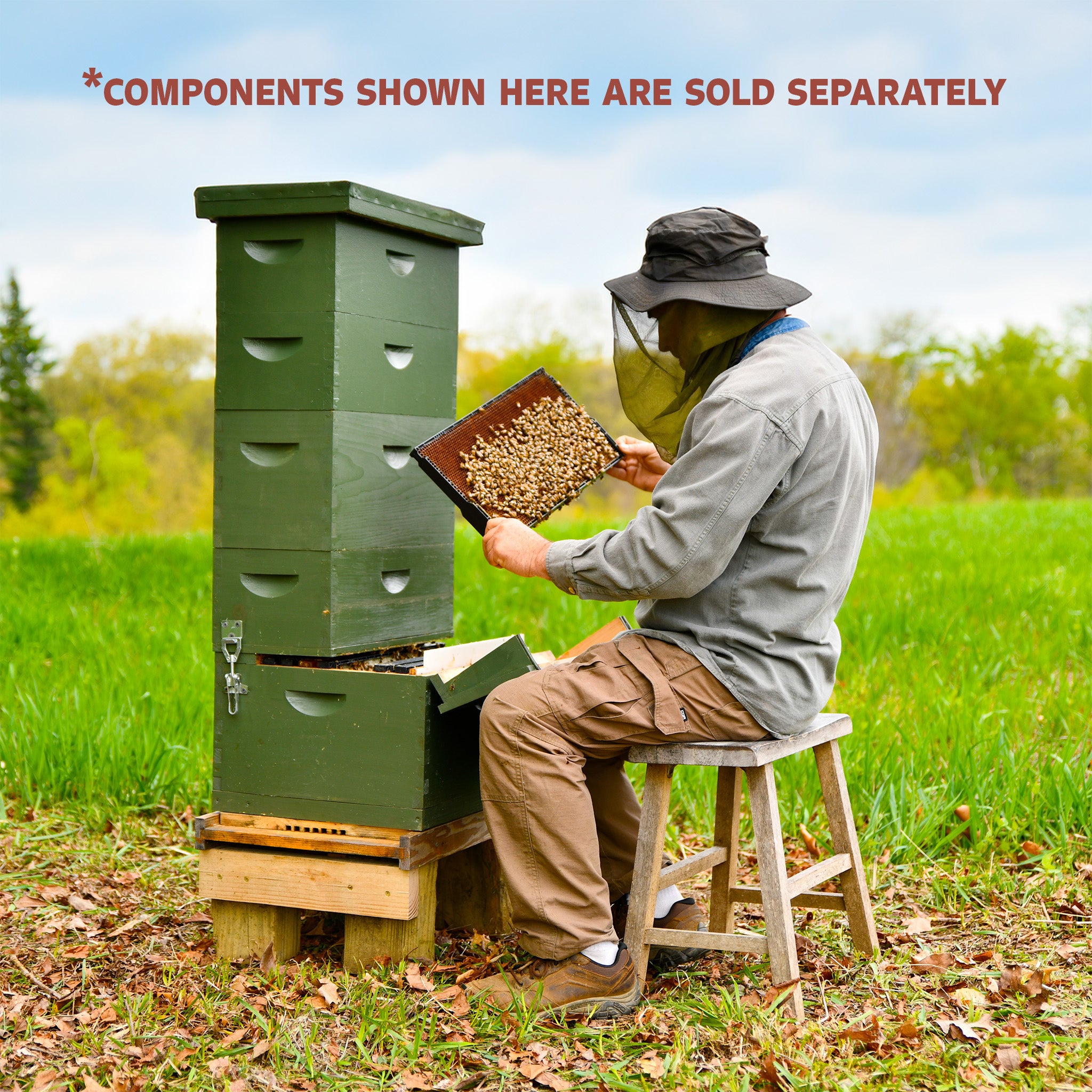 Goakeeper Box One Queen Keeper - Single Brood Box β The Keeper's Hive