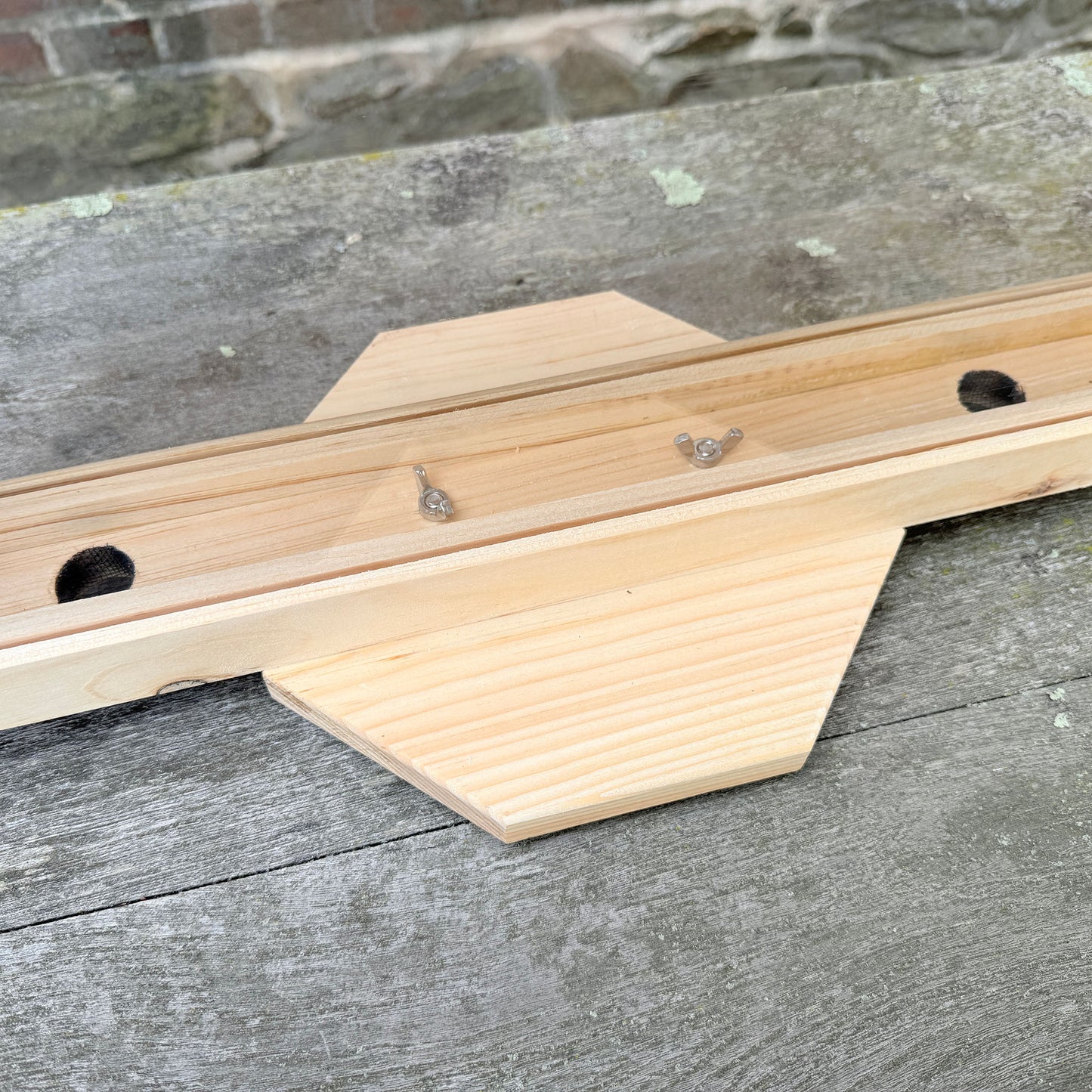 Single Frame Observation Hive