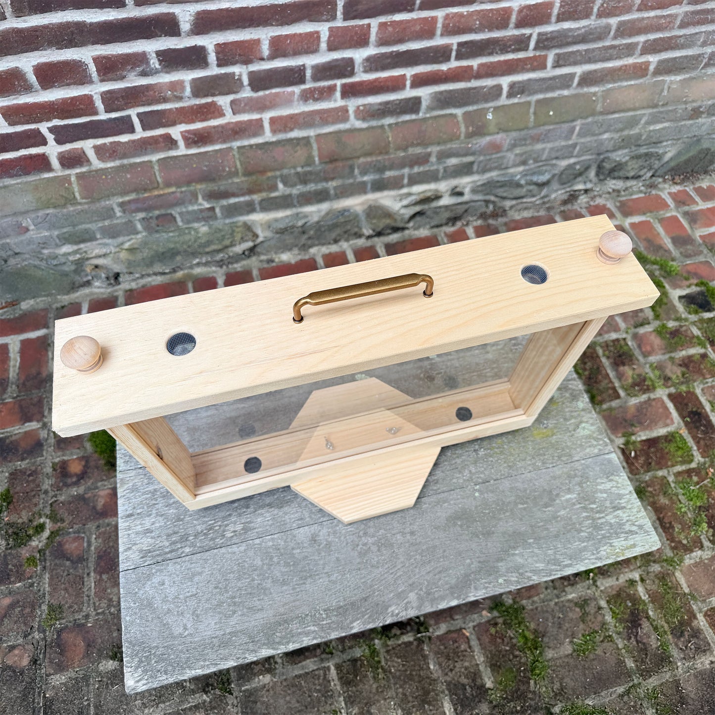 Single Frame Observation Hive