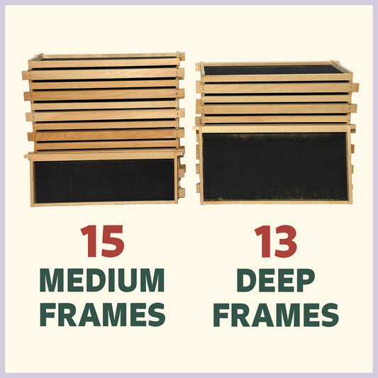 One Queen Keeper - Frame Pack
