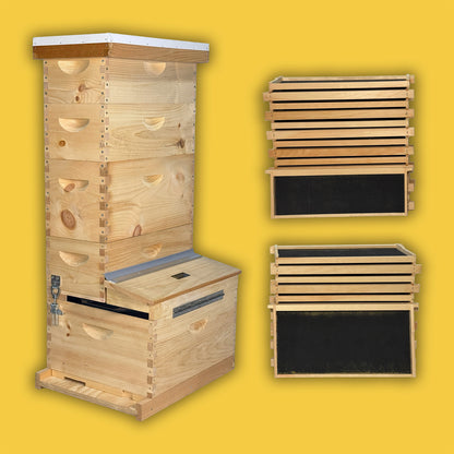 One Queen Keeper - Complete Beehive Kit