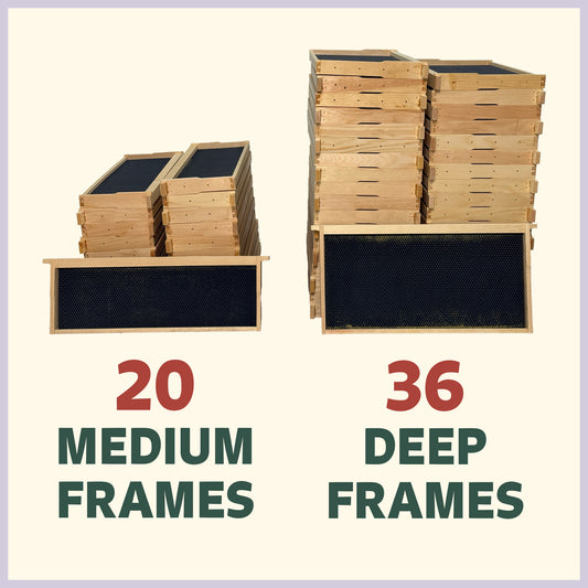 Two Queen Keeper - Frame Pack