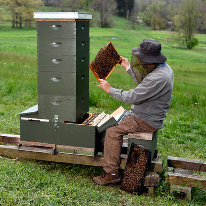 Two Queen Keeper - Complete Beehive Kit