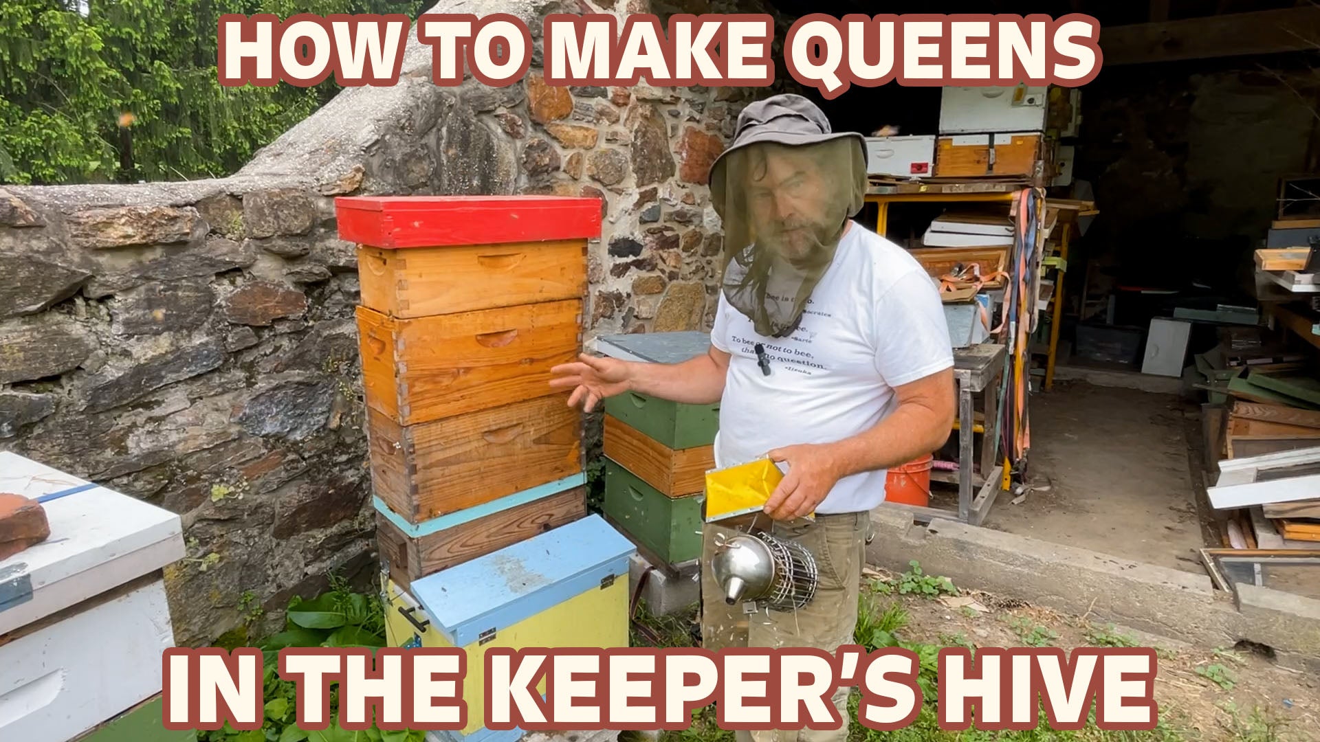 Videos The Keeper S Hive