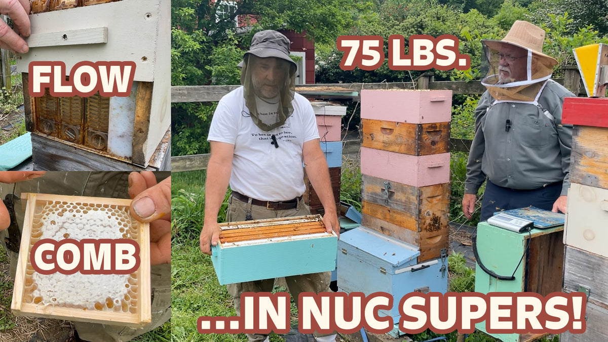 Videos – The Keeper's Hive