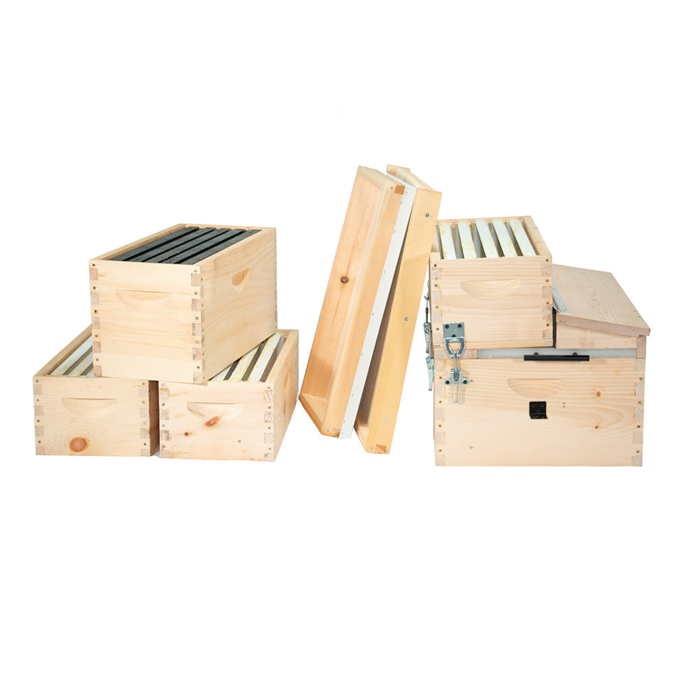 The Keeper's Hive One Queen Keeper Beginner Beehive Kit