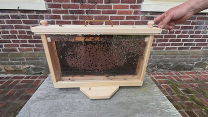 Single Frame Observation Hive