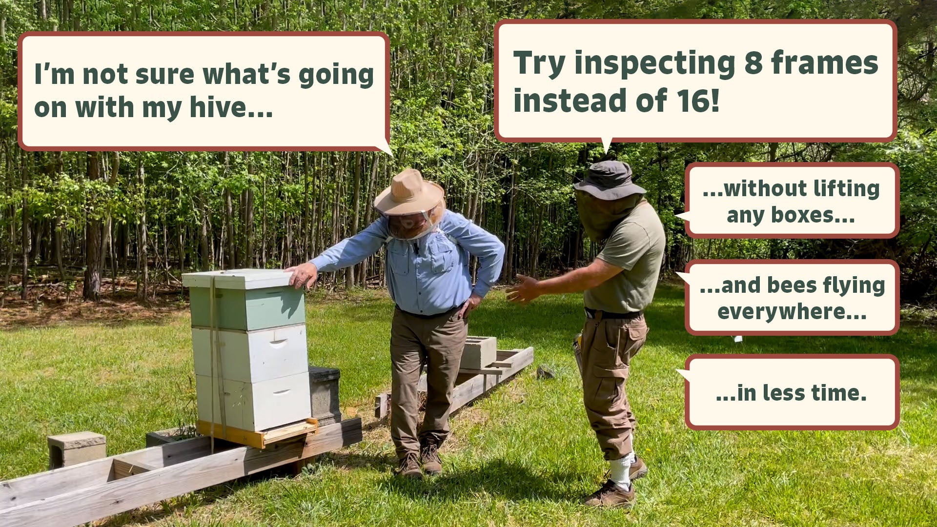 Load video: New Beekeeper Beginner Beehive Learning Beekeeping