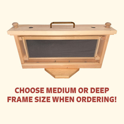 Single Frame Observation Hive