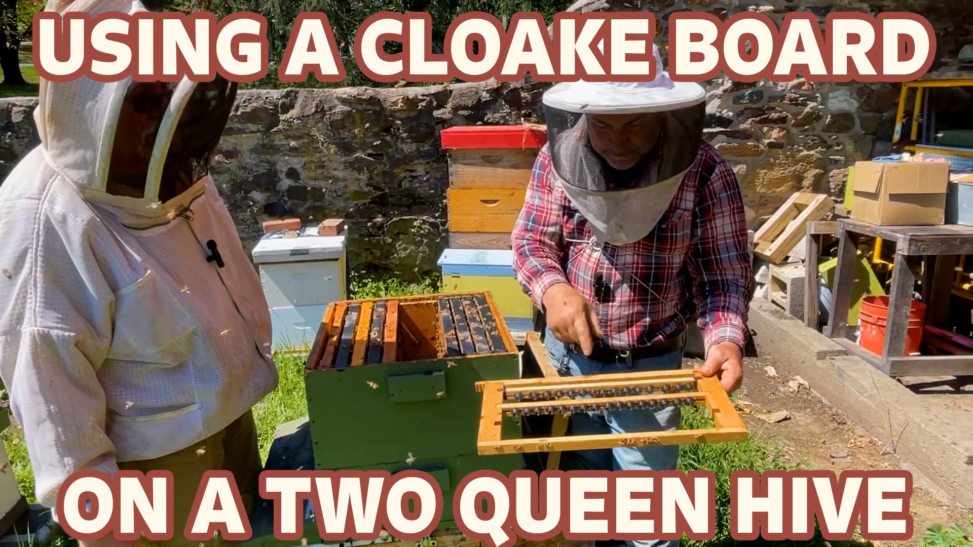 Load video: Two Queen Hive Cloake Board Queen Rearing Raising Queens Grafting