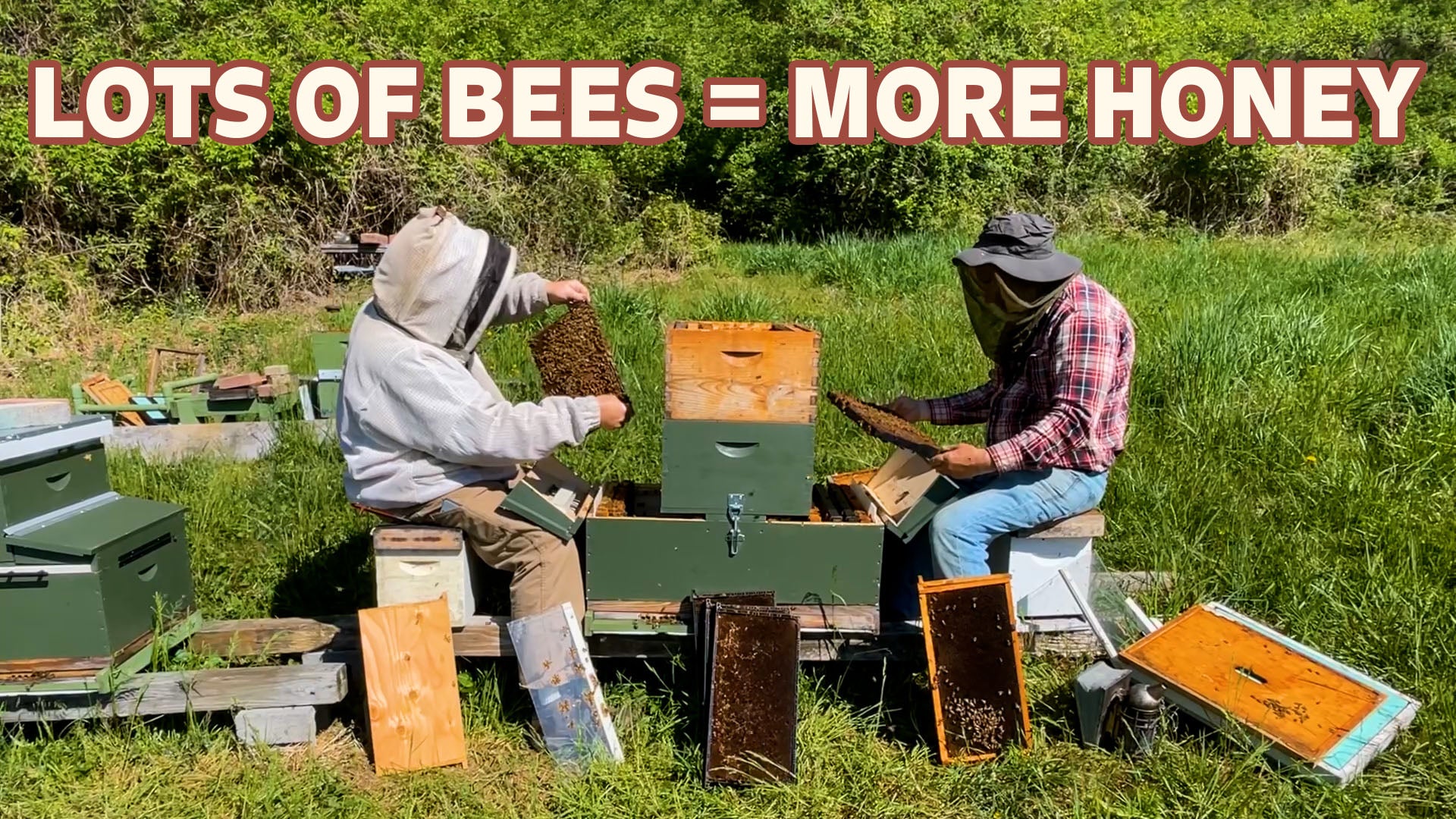 Load video: Two Queen Hive Demaree Method For Swarm Prevention Honey Production
