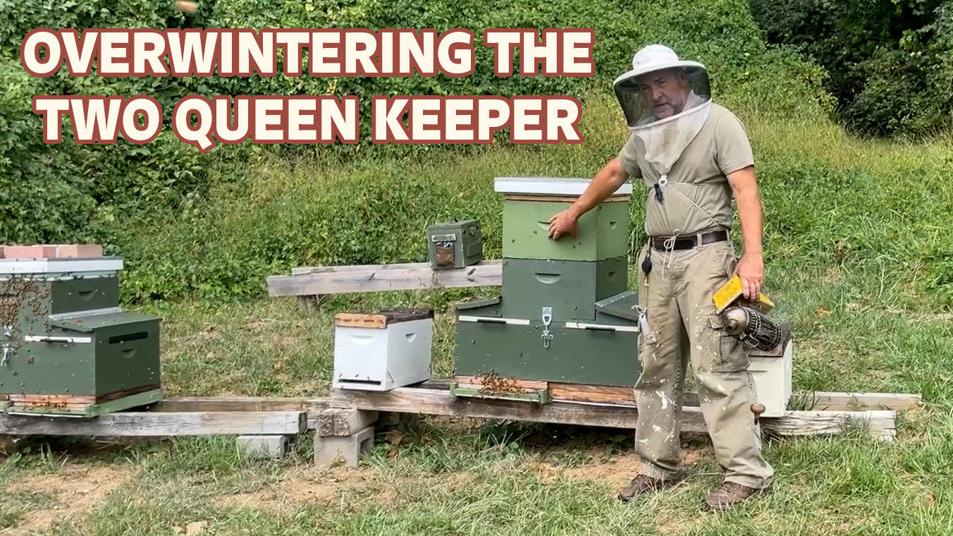 Load video: two queen beehive single brood chamber winter management honey stores